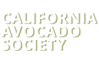 California Avocado Society